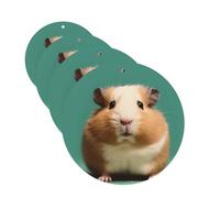 4 Pcs Car Air Fresheners Hanging Fragrance Scented Cards for SUV Cute and weird hamster Car Aromatherapy Tablets Auto Interior Mirror Pendant for Bedroom Wardrobe Shoe Cabinet