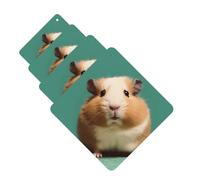 4 Pcs Car Air Fresheners Hanging Fragrance Scented Cards for SUV Cute and weird hamster Car Aromatherapy Tablets Auto Interior Mirror Pendant for Bedroom Wardrobe Shoe Cabinet