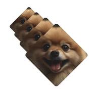 4 Pcs Car Air Fresheners Hanging Fragrance Scented Cards for SUV Cute Pomeranian Car Aromatherapy Tablets Auto Interior Mirror Pendant for Bedroom Wardrobe Shoe Cabinet