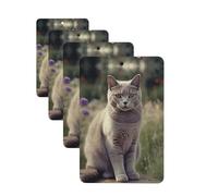 4 Pcs Car Air Fresheners Hanging Fragrance Scented Cards for SUV Gray Cat in Flower Field Car Aromatherapy Tablets Auto Interior Mirror Pendant for Bedroom Wardrobe Shoe Cabinet