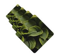 4 Pcs Car Air Fresheners Hanging Fragrance Scented Cards for SUV Moist Hosta Leaves Car Aromatherapy Tablets Auto Interior Mirror Pendant for Bedroom Wardrobe Shoe Cabinet