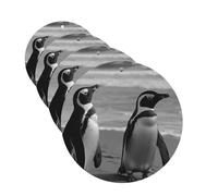 4 Pcs Car Air Fresheners Hanging Fragrance Scented Cards for SUV Penguin Standing on the Beach Car Aromatherapy Tablets Auto Interior Mirror Pendant for Bedroom Wardrobe Shoe Cabinet