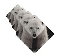 4 Pcs Car Air Fresheners Hanging Fragrance Scented Cards for SUV Polar Bear Car Aromatherapy Tablets Auto Interior Mirror Pendant for Bedroom Wardrobe Shoe Cabinet