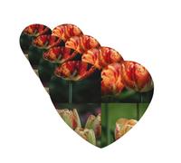 4 Pcs Car Air Fresheners Hanging Fragrance Scented Cards for SUV Tulips in the Garden Car Aromatherapy Tablets Auto Interior Mirror Pendant for Bedroom Wardrobe Shoe Cabinet