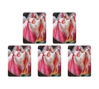 4 Pcs Car Air Fresheners Hanging Scented Cards for Cars Pink Tulips Car Air Fresheners Cars Interior Decoration Fragrance Scented Cards for Rearview Mirror Auto Accessories