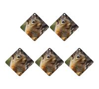 4 Pcs Car Air Fresheners Hanging Scented Cards for Cars Squirrel on Tree Car Air Fresheners Cars Interior Decoration Fragrance Scented Cards forRearview Mirror Auto Accessories