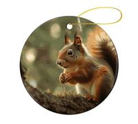 4 Pcs Ceramic Christmas Ornaments 2.8 Inch - Wildlife Forest Squirrel Double Sided Round Holiday Tree Hanging Decor for Home, Party, Hotel Decorations, Gift for Teacher, Neighbor, Friend