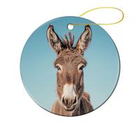 4 Pcs Ceramic Christmas Ornaments - Real Image of Donkey Round Porcelain Hanging Decor with Double-Sided Printing, Christmas Tree Ornament for Holiday Keepsake Gifts (2.8 Inch)