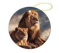 4 Pcs Ceramic Christmas Ornaments - Two Lions Round Double Sided Porcelain Hanging Decor for Xmas Tree, Holiday Home Decor and Gift Party Decorations (2.8 Inch)
