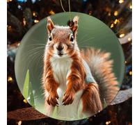 4 Pcs Christmas Ceramic Ornaments for Tree Decorations - Cute Squirrels Farmhouse Christmas Decor, Hanging Pendant Round Ornament for Xmas Tree Gifts (2.8 Inch)