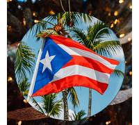 4 Pcs Christmas Ceramic Ornaments for Tree Decorations - Puerto Rico Flags Frog Palm Trees Farmhouse Christmas Decor, Hanging Pendant Round Ornament for Xmas Tree Gifts (2.8 Inch)