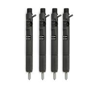 4 PCS Compatible for Delphi EJBR02901D CRDI Diesel Fuel Injector Compatible for Hyundai Terracan KIA Carnival Sedona 2.9 33800-4X800
