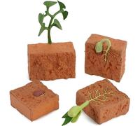 4 PCS Farm Plant Life Cycle Model Figure Set Plants Grown Toy Simulation Educational PVC Plant Growth Cycle Model for for 5 6 7 8 Year Old Boys Girls Kid Toddlers (Green)
