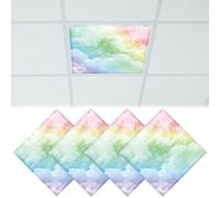 4 Pcs Fluorescent Light Covers 2x2 Ft Magnetic Ceiling Light Classroom Reducing Harsh Glare Flicker Led Filters Shield for Office Home Studio School Drop Rainbow Party Decor (Rainbow)