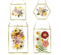4 PCS Glass Frame for Pressed Flowers - Gold Floating Picture Frames with Metal Chain Wall Hanging Pressed Flower Frames for Dried Flowers Plants Specimen