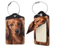 4 PCS Luggage Tag for Suitcases,PU Leather Luggage Tags with Stainless Steel Loop Name Tag, Suitcase Labels Set Long Haired Dachshund Baggage Bag Tag Travel ID Label for Men Women