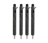 (4 PCS) New Compatible for Delphi EJBR02901D CRDI Diesel Fuel Injector Compatible for Hyundai Terracan KIA Carnival Sedona 2.9 33800-4X800