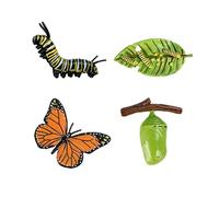 4 Pcs Plastic Butterfly Life Cycle Set,Realistic Animal Figurines Model Kit,Miniature Simulation Growth Education,Tadpole to Adult Amphibian Figures Learning Gift,for Bonsai Pot Micro Landscape Decor