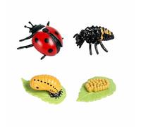 4 Pcs Plastic ladybird Life Cycle Set,Realistic Animal Figurines Model Kit,Miniature Simulation Growth Education,Tadpole to Adult Amphibian Figures Learning Gift,for Bonsai Pot Micro Landscape Decor