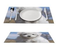 4 PCS PVC Heat Resistant Placemats 12x18 Inch Washable Non-Slip Table Mats for Dining Table, Bichon Frise Dog Place Mats for Holiday Party Kitchen Dining Decor