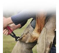 4 Piece Farrier Tool Set Including Nipper and Shoeing Rasp with Handle Plus Cutter for Equine Care and Horseshoe Maintenance Metal Construction High Strength Kit for Hoof Trimming