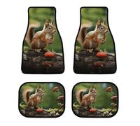 4-Piece Red Squirrel on Small Green Hill Car Floor Mats Heavy Duty Anti Slip Easy Clean Carpet for Most Cars All Weather Universal Floor Mats Fit for SUVs Sedans and Trucks