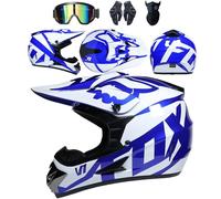4 Piece Set Motorcycle Helmet with Goggles Gloves Face Shield, DOT Approved, Kids Youth Adult Dirt Bike Helmets, Four Seasons Universal Motocross Racing Bike Helmet,Color W-L