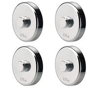 4 Pieces 0.75kg Weight Plates for 5kg Steel Dumbbells (4×0.75kg)