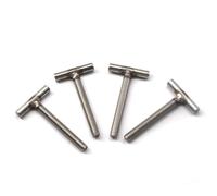 (4 Pieces) M10x100mm T Shape Screw Bolt 304 Stainless Steel Handle Screw Thumb Screws