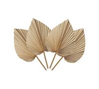 4 Pieces Natural Dried Palm Leaves are Perfect for Leaf Decor, Boho Home Wedding