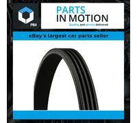 Continental CTAM Multi V-Ribbed Drive Belt fits Ford Nissan