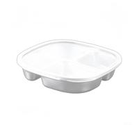 4 Section Stainless Steel Lunch Container with Divided Plate and Lids for Organized Meal Prep and Storage at Home or Away (4 Compartments)