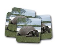 4 Set - Aldabra Giant Tortoise Coaster - Seychelles Wild Animal 12549