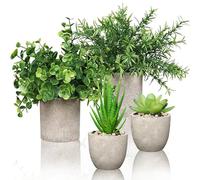 4 Set Artificial Plants Indoors in Pots, Small Plastic Fake Plants, Eucalyptus, Rosemary, Mini Succulents Faux Plant for Office Decor, Desk, Bedroom, Bathroom, Kitchen, Home Decoration in Spring.