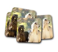 4 Set - Beautiful Afghan Hounds Coaster - Canine Dog Lovers Animals #16056