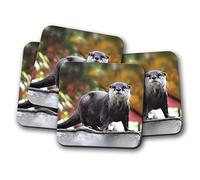 4 Set - Beautiful Otter Coaster - Wild Animal Nature Cute River #12642