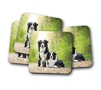 4 Set - Border Collie Pair Coaster - Dog Sheep Farmer Cute Puppy Fun #8626