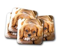4 Set - Cavalier King Charles Spaniel Coaster - Puppy Dog Cute Baby #14978