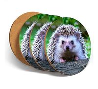4 Set - Cute Cheeky Hedgehog Coasters Kitchen Drinks Coaster #14322