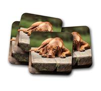 4 Set - Cute Vizsla Dog Coaster - Dogs Puppy Lab Animal Pets Mum Fun #16941