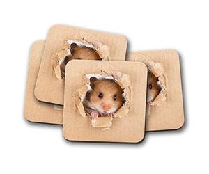 4 Set - Funny Hamster Mouse Coaster - Rodent Kids Rat Gerbil Mice #8521