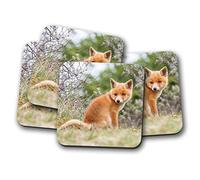 4 Set - Ginger Baby Fox Coaster - Cute Wildlife Animal Wild #15612