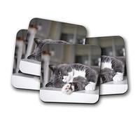 4 Set - Grey British Shorthair Cat Coaster - Kitten Cute Pet Animals #16024