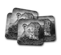 4 Set - Lion Cub Coaster - Big Cat Black & White Photography Wild #15002