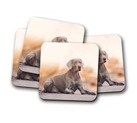 4 Set - Magnificent Weimaraner Dog Coaster - Exotic Breed Animals #16229