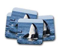 4 Set - Orca Whale Coaster - Killer Whales Marine Ocean Sea #14212
