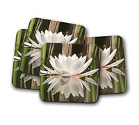 4 Set - Pretty Water Lily Coaster - Flower Garden Lilies Pond Lake #12357