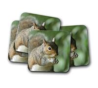 4 Set - Wild Squirrel Coaster - Nature Wildlife Animals Woods #12855