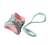 4 Sets Pet Leash Cat Harness Leash Leash Training Dog Harness Dog Harness Kit Puppy Leash Pet Traction Leash Kit Dog Run (Pink mediumx2pcs)