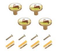 4 sets Round Drawer Cabinet Knobs Handles, Acrylic board Knobs with Screws Pulls Decor for Home Office Dresser Wardrobe Print Red Horse with Long Blond Mane Spring Field Flowers